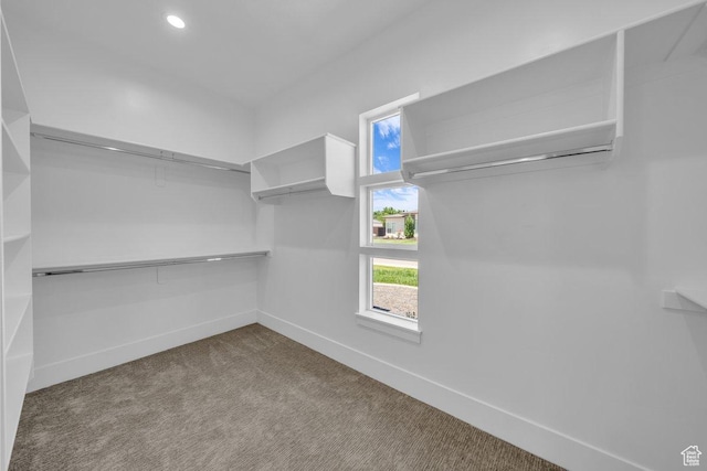 21 W Elinor Ln, Washington, UT 84780 - walk in closet with carpet flooring