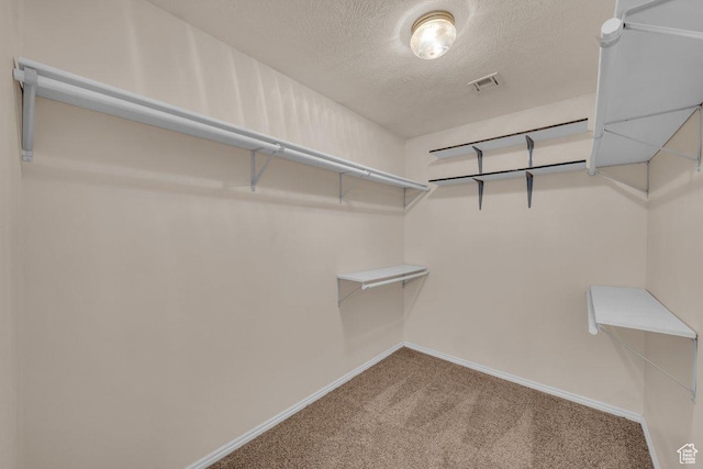 579 E Spring Cir, Washington, UT 84780 - walk in closet with carpet flooring