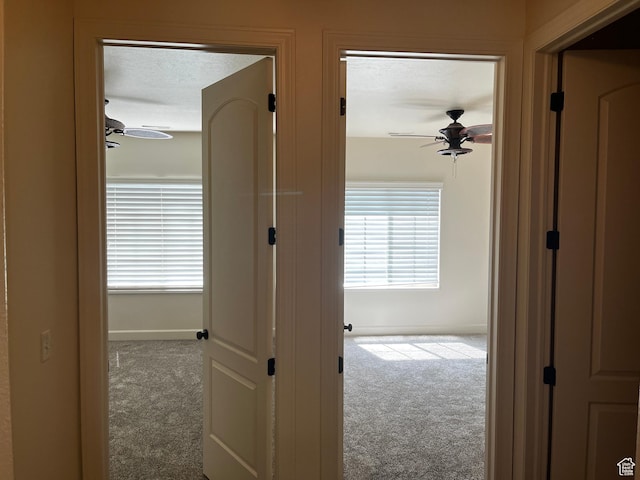 933 N 900 W, Orem, UT 84057 - hall with carpet and baseboards