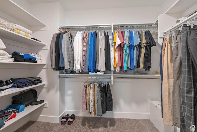 1304 E Weyburn Ln S Unit 10, Holladay, UT 84117 - walk in closet featuring carpet