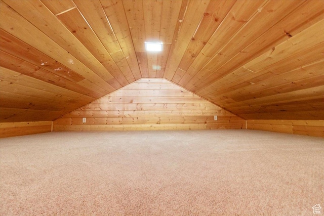 294 W 200 N, Mount Pleasant, UT 84647 - additional living space featuring wood walls, wooden ceiling, vaulted ceiling, and carpet