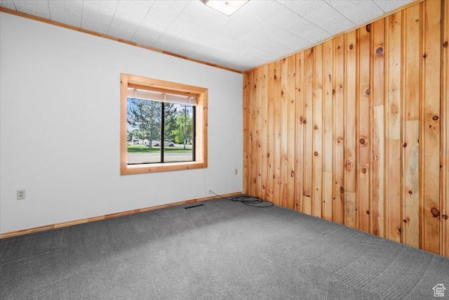 294 W 200 N, Mount Pleasant, UT 84647 - carpeted spare room with wooden walls and crown molding