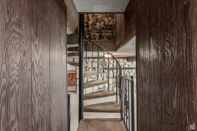 294 W 200 N, Mount Pleasant, UT 84647 - staircase with carpet flooring and wooden walls
