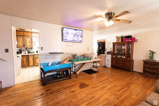 960 N 100 W, Tremonton, UT 84337 - living room with light wood-type flooring, ceiling fan, and a textured ceiling
