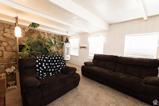 960 N 100 W, Tremonton, UT 84337 - living room with beamed ceiling, carpet, and a textured ceiling