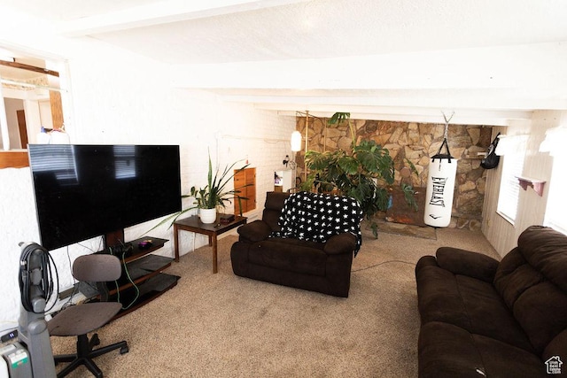 960 N 100 W, Tremonton, UT 84337 - living room featuring carpet flooring and beamed ceiling