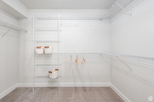 8072 S 300 E Unit 246, Midvale, UT 84070 - walk in closet with carpet flooring