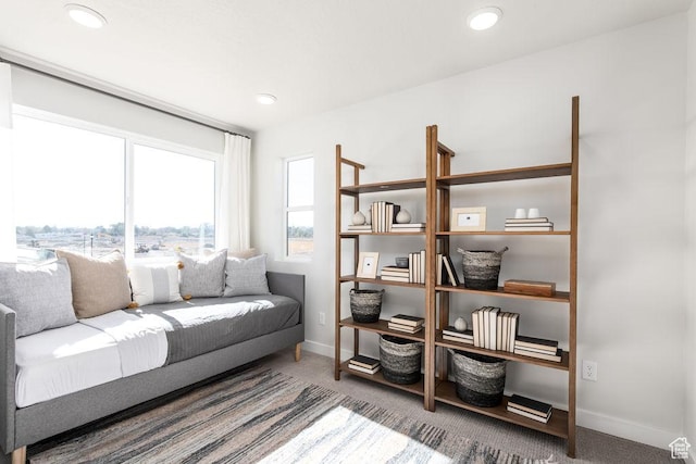 8072 S 300 E Unit 246, Midvale, UT 84070 - carpeted living room with baseboards and recessed lighting