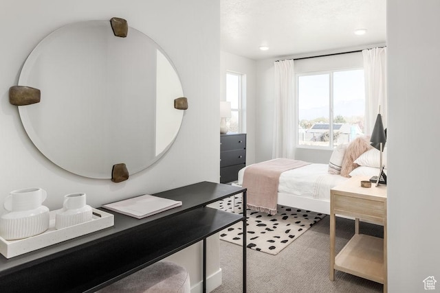 8072 S 300 E Unit 246, Midvale, UT 84070 - bedroom featuring carpet floors