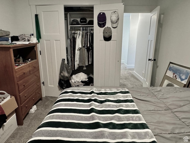 1038 W 980 S Unit 312, American Fork, UT 84003 - bedroom featuring carpet floors and a closet