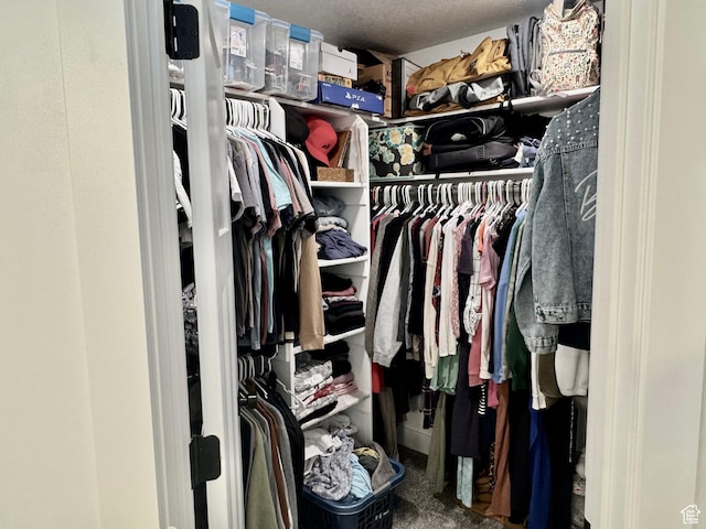 1038 W 980 S Unit 312, American Fork, UT 84003 - view of spacious closet