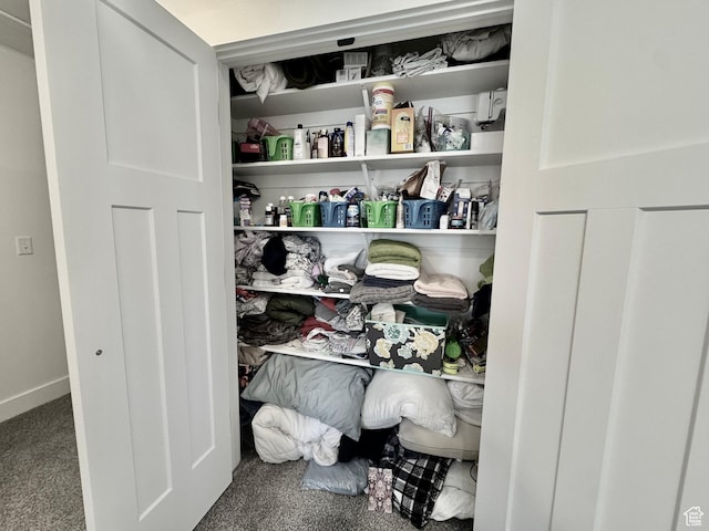 1038 W 980 S Unit 312, American Fork, UT 84003 - view of pantry