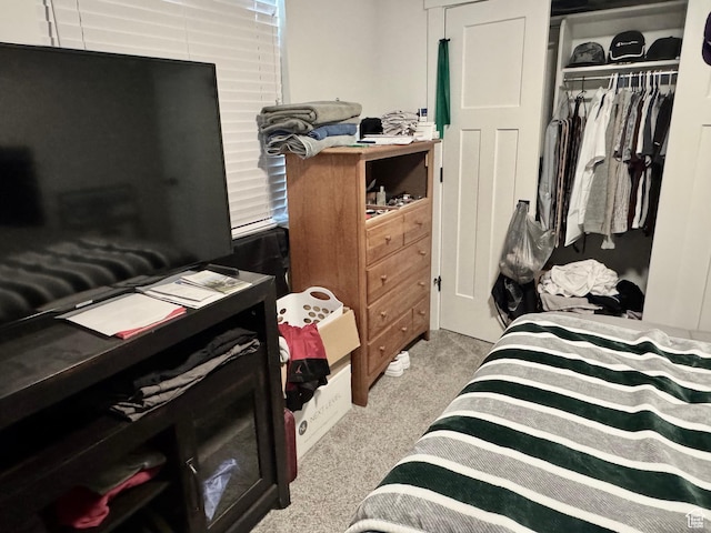 1038 W 980 S Unit 312, American Fork, UT 84003 - bedroom with a closet and carpet floors