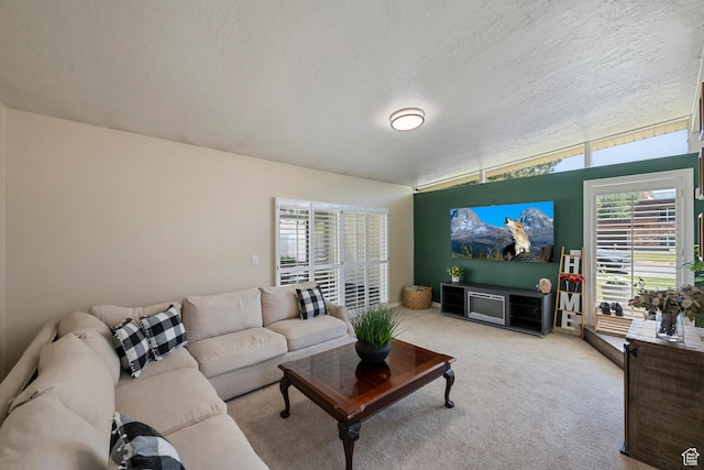 6764 S Enchanted Dr E, Midvale, UT 84047 - carpeted living room with a textured ceiling