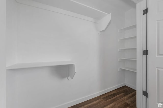 153 E Main St Unit B, Santaquin, UT 84655 - walk in closet with dark wood-style floors