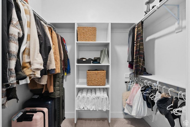 11449 S Bingham Rim Rd, South Jordan, UT 84009 - spacious closet featuring carpet flooring