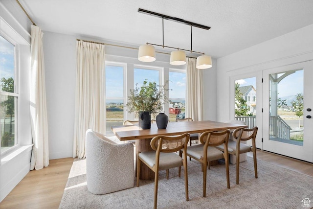 11449 S Bingham Rim Rd, South Jordan, UT 84009 - dining area featuring light wood-type flooring