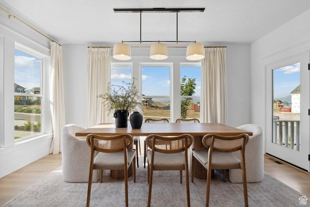 11449 S Bingham Rim Rd, South Jordan, UT 84009 - dining room with wood finished floors