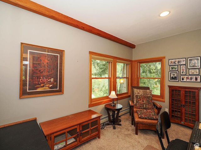 2137 N Pinecrest Canyon Rd Unit 35, Emigration Canyon, UT 84108 - office with light colored carpet, a baseboard heating unit, and recessed lighting