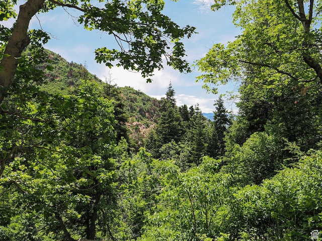 2137 N Pinecrest Canyon Rd Unit 35, Emigration Canyon, UT 84108 - view of wooded area