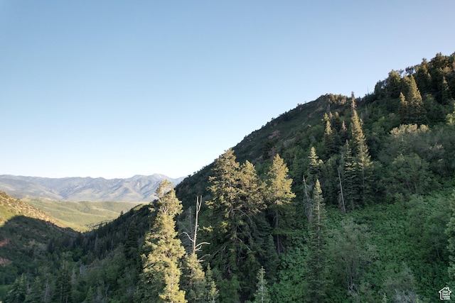 2137 N Pinecrest Canyon Rd Unit 35, Emigration Canyon, UT 84108 - mountain view with a heavily wooded area