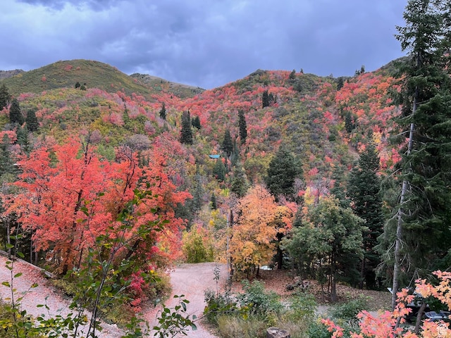 2137 N Pinecrest Canyon Rd Unit 35, Emigration Canyon, UT 84108 - view of mountain backdrop with a heavily wooded area