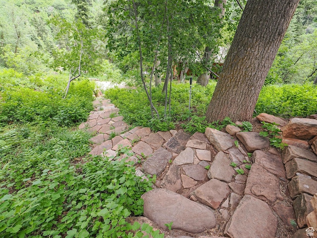 2137 N Pinecrest Canyon Rd Unit 35, Emigration Canyon, UT 84108 - exterior view of a heavily wooded area