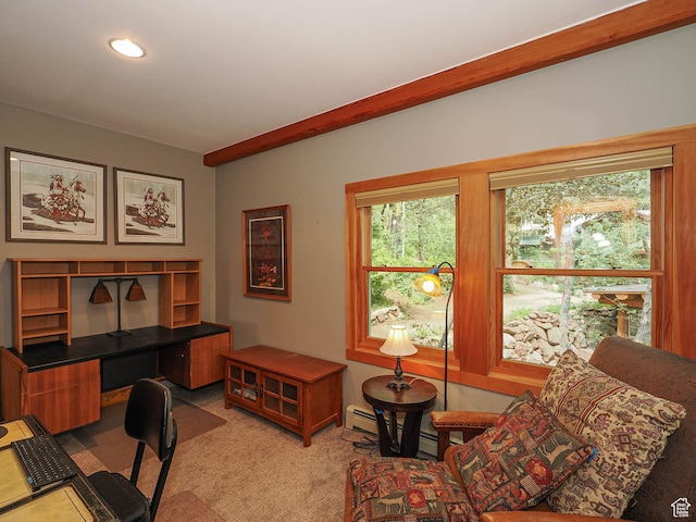 2137 N Pinecrest Canyon Rd Unit 35, Emigration Canyon, UT 84108 - home office with light carpet, a baseboard heating unit, and recessed lighting