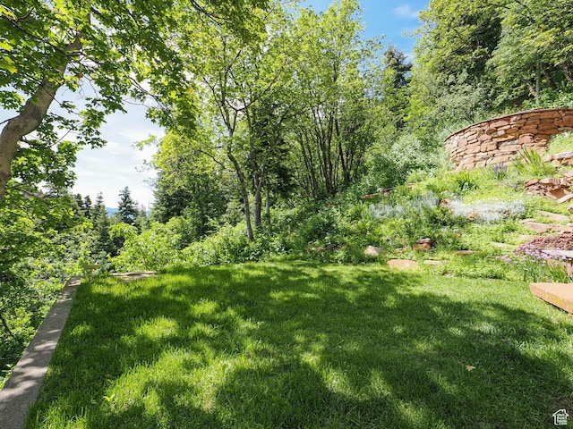 2137 N Pinecrest Canyon Rd Unit 35, Emigration Canyon, UT 84108 - view of grassy yard