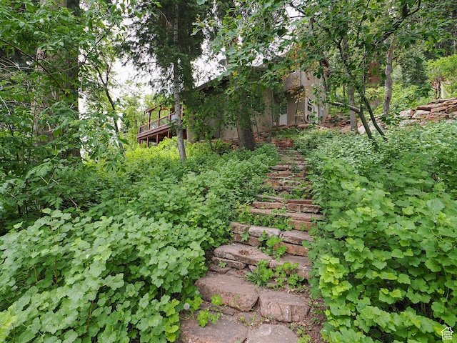 2137 N Pinecrest Canyon Rd Unit 35, Emigration Canyon, UT 84108 - view of yard