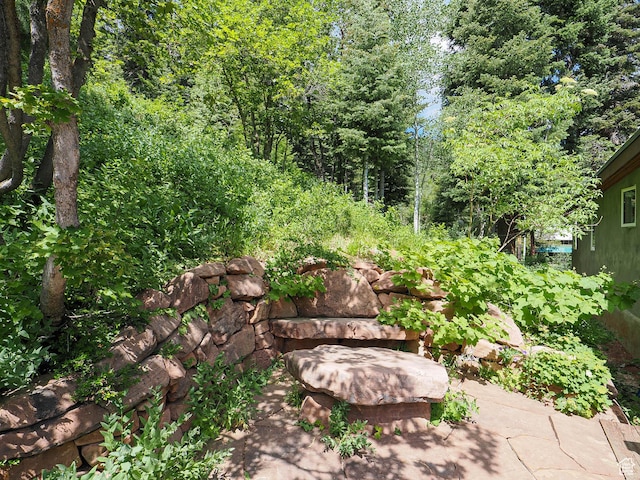 2137 N Pinecrest Canyon Rd Unit 35, Emigration Canyon, UT 84108 - view of yard