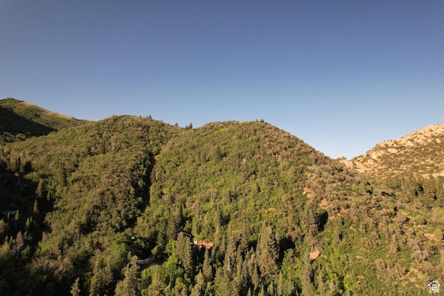2137 N Pinecrest Canyon Rd Unit 35, Emigration Canyon, UT 84108 - view of mountain background featuring a forest