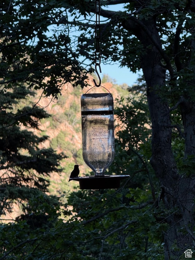2137 N Pinecrest Canyon Rd Unit 35, Emigration Canyon, UT 84108 - exterior view