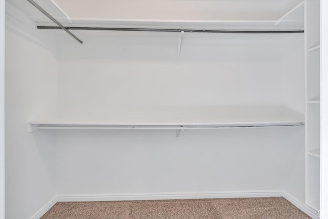 1747 S 750 E, Orem, UT 84097 - walk in closet with carpet