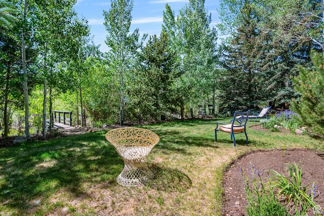 2442 Lily Langtry Ct, Park City, UT 84060 - view of green lawn