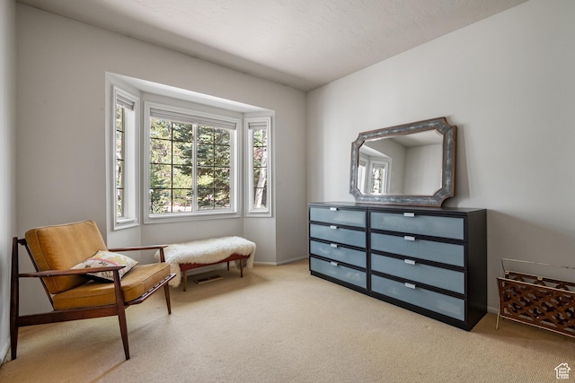 2442 Lily Langtry Ct, Park City, UT 84060 - living area with carpet and plenty of natural light