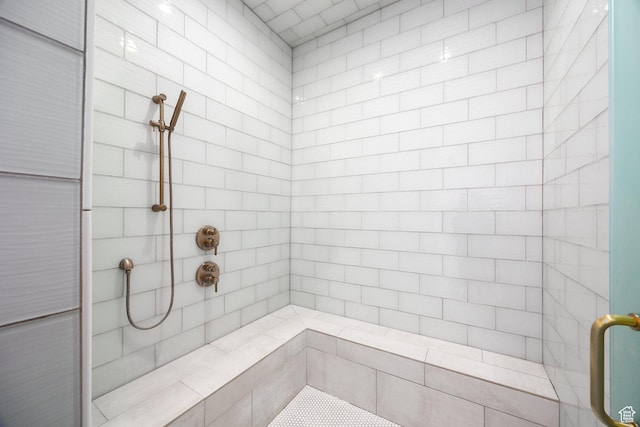905 S Coldwater Way, Midway, UT 84049 - bathroom featuring tiled shower