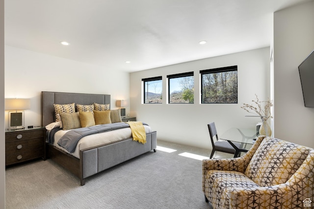 13202 N Alexis Dr, Heber City, UT 84036 - bedroom with carpet floors and recessed lighting