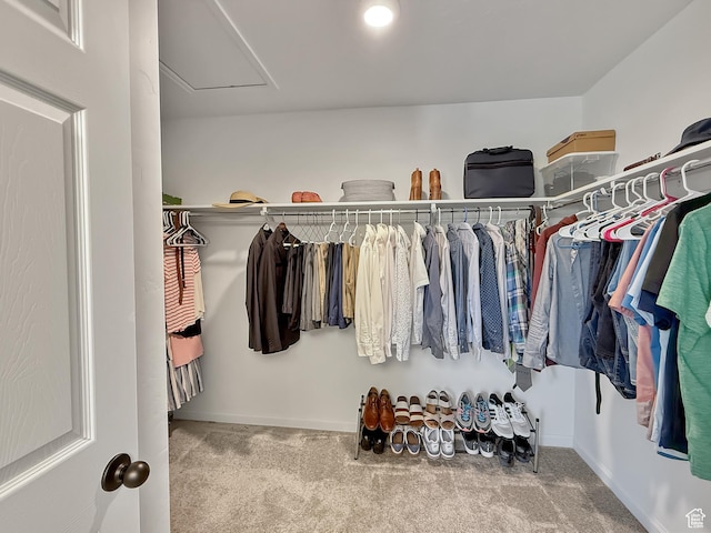 998 W 850 S, Springville, UT 84663 - walk in closet featuring attic access and carpet