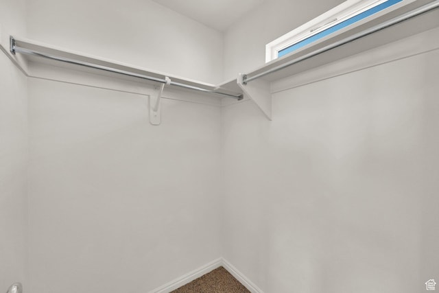 3482 E Kennekuk Cir, Eagle Mountain, UT 84005 - spacious closet with carpet