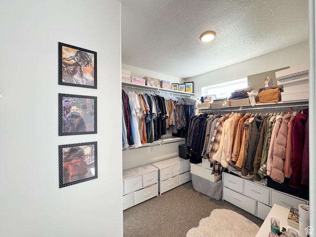 4721 W Talavara Way S, Kearns, UT 84118 - spacious closet with carpet floors