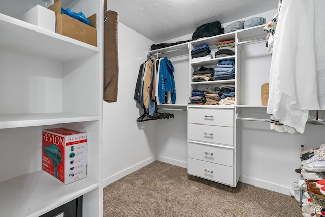 2234 W 300 N, West Point, UT 84015 - walk in closet featuring carpet floors