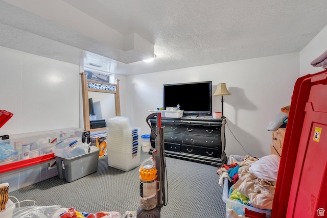 197 E Utah Ave, Payson, UT 84651 - rec room with carpet and a textured ceiling