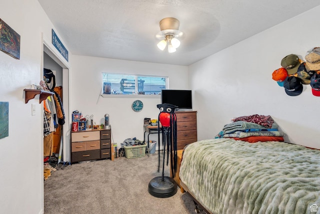 197 E Utah Ave, Payson, UT 84651 - bedroom featuring carpet floors