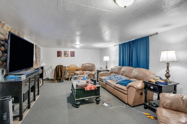 197 E Utah Ave, Payson, UT 84651 - living area with carpet floors and baseboards