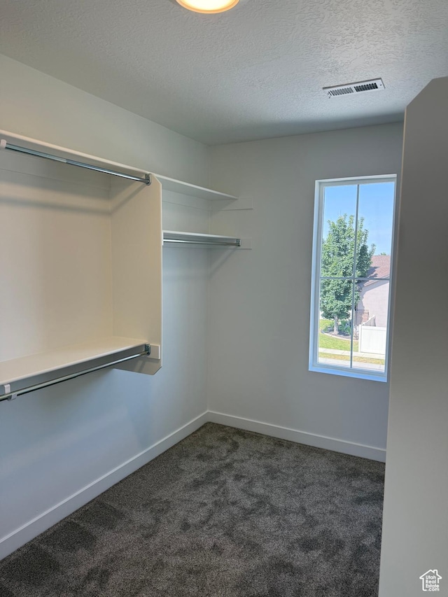 274 N 825 W, Clearfield, UT 84015 - spacious closet with dark carpet