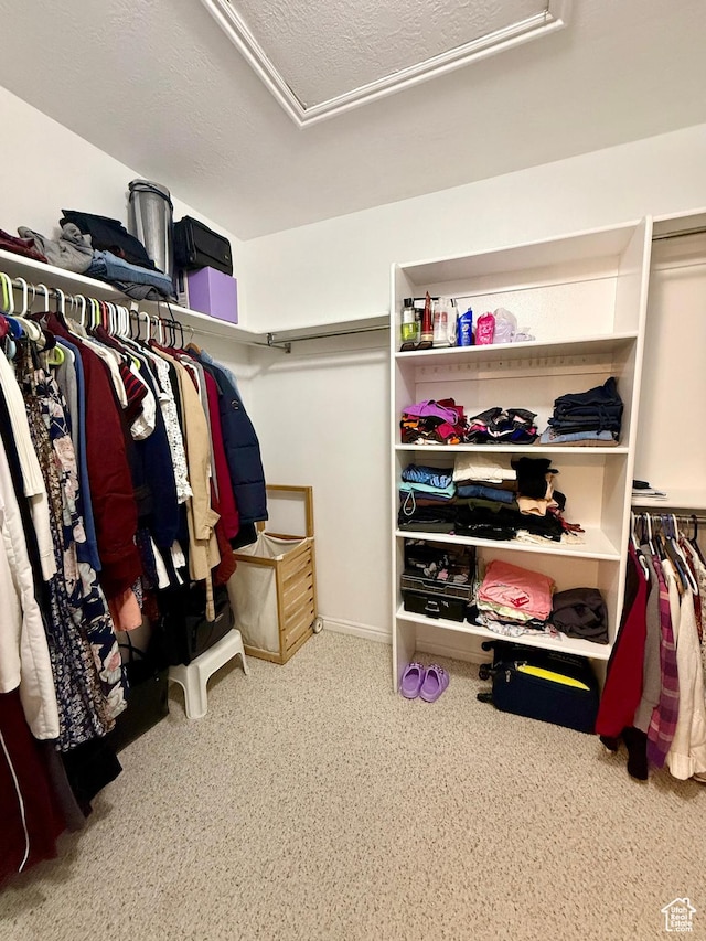 7089 S Brittany Town Dr, West Jordan, UT 84084 - walk in closet with attic access and carpet