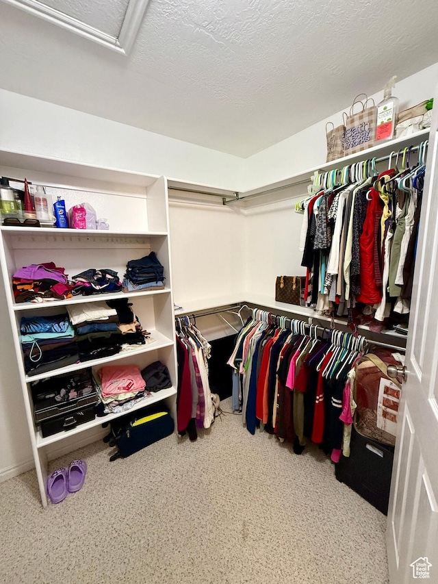 7089 S Brittany Town Dr, West Jordan, UT 84084 - view of walk in closet