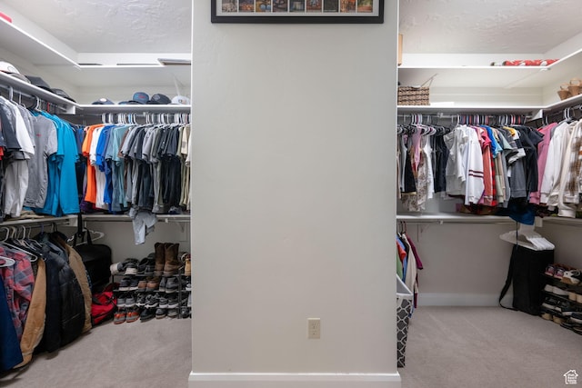2979 E 3610th Cir S, St George, UT 84790 - walk in closet featuring carpet