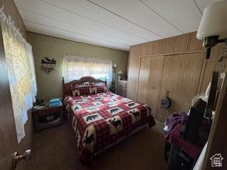 235 N 4th E, Manila, UT 84046 - carpeted bedroom with a closet and wooden walls